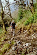 More singletrack